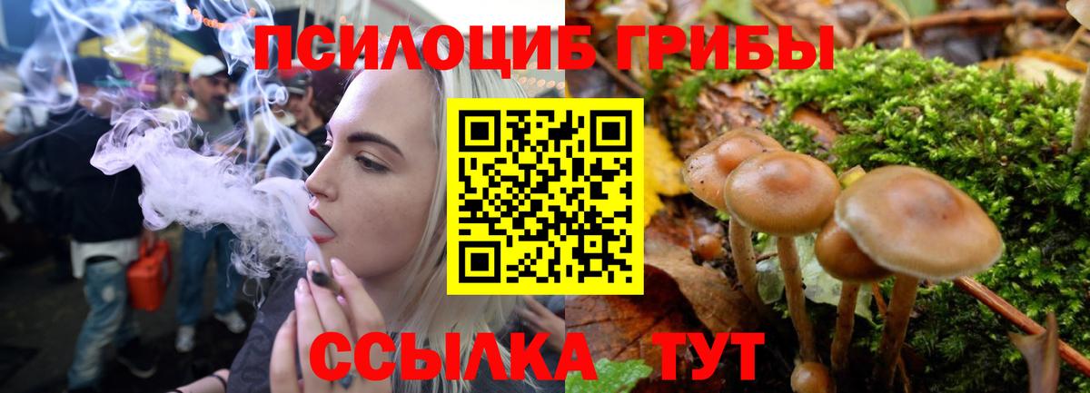 Галлюциногенные грибы Magic Shrooms  Вход с VPN  Псилоцибиновые грибы MAGIC MUSHROOMS  Камышлов 